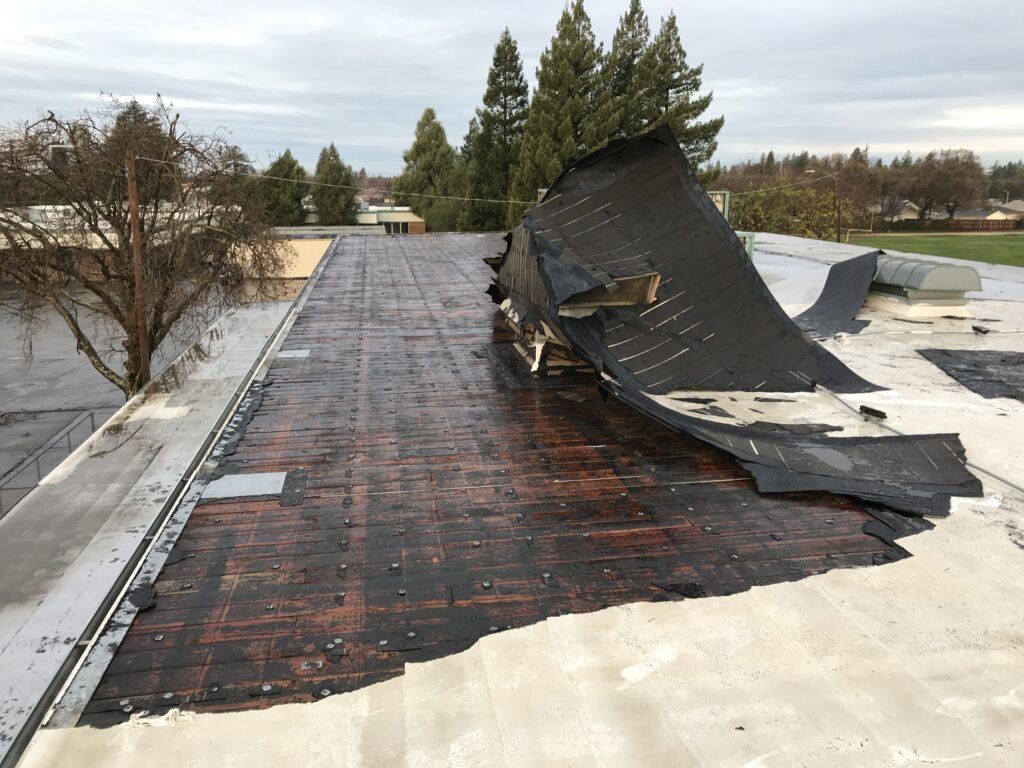 School building roof with large section of mangled uplifted top protective layer exposing underlying wet substructure wood